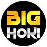 bighoki APK SLG